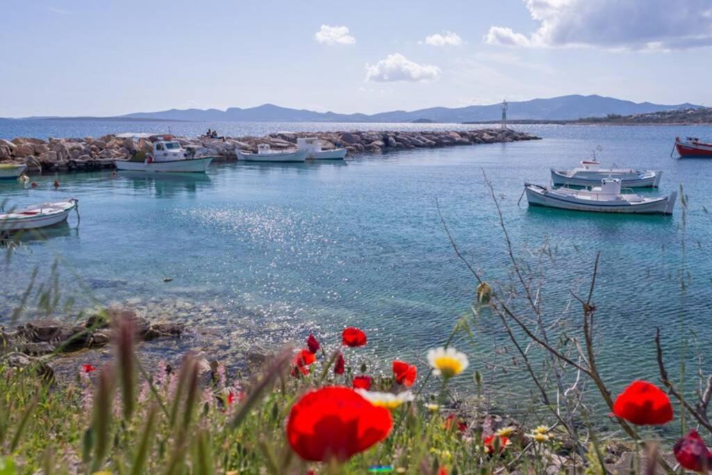 Vila Exohiko Alikí Exteriér fotografie